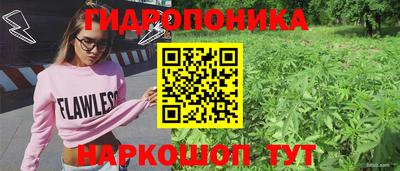 не бодяженный Будённовск