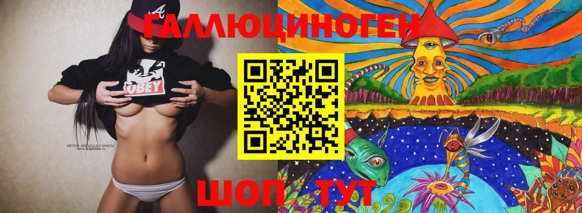 Галлюциногенные грибы Psilocybine cubensis Ленинск-Кузнецкий
